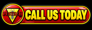 Pest Tech Inc