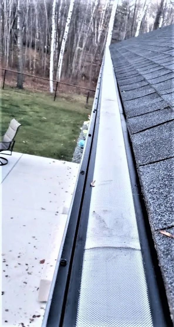 Roof gutter along a house roofline overlooking a yard with leafless trees.