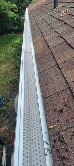 Roof edge with a white gutter and brown shingles, with leaves and debris along the roofline.