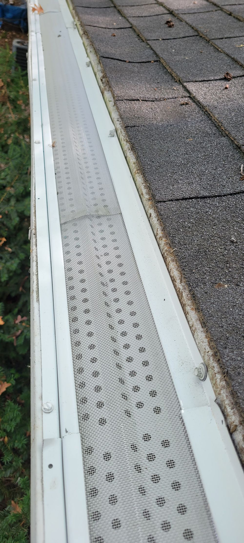 Close-up of a white gutter guard with mesh debris screen along a shingled roof edge.