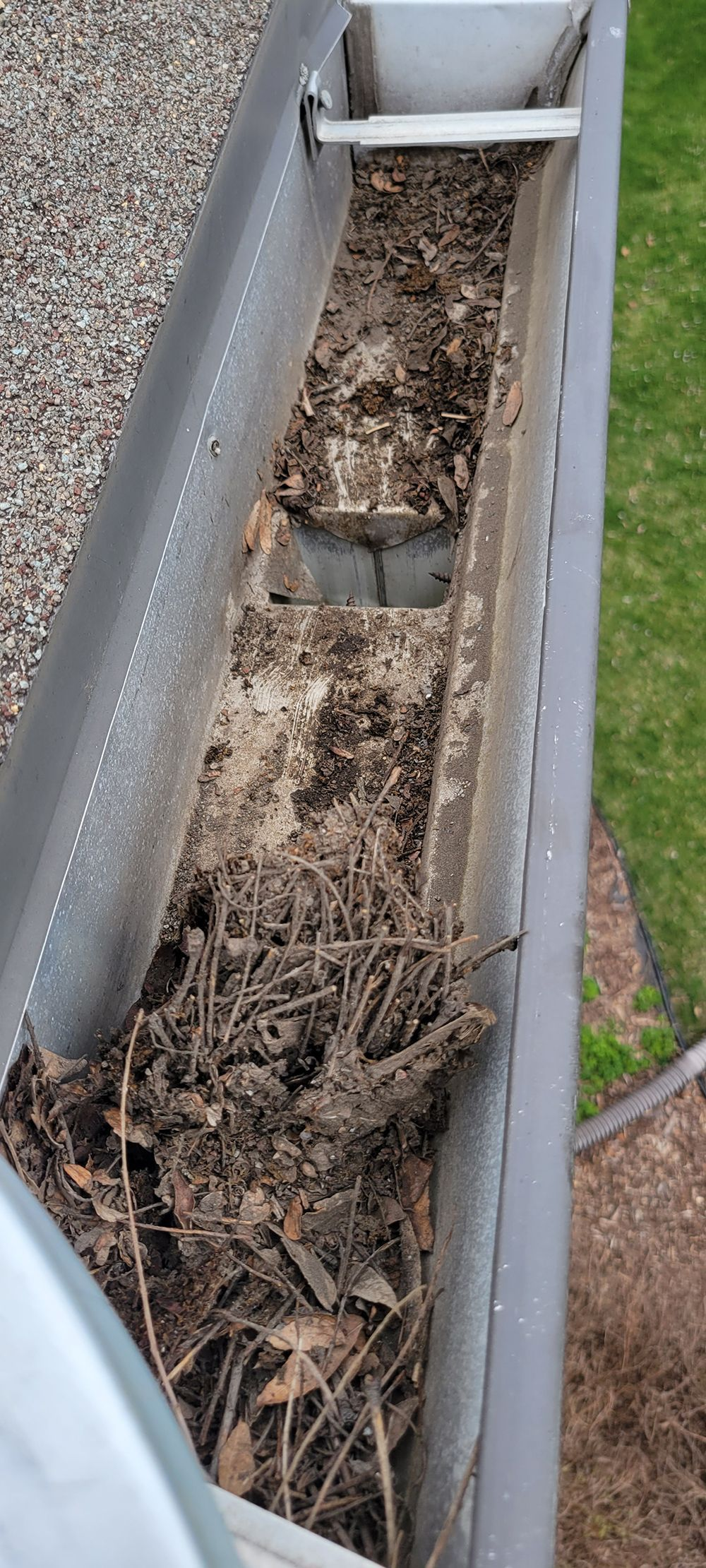 Gutter filled with debris and leaves beside a green lawn and gray roof edge