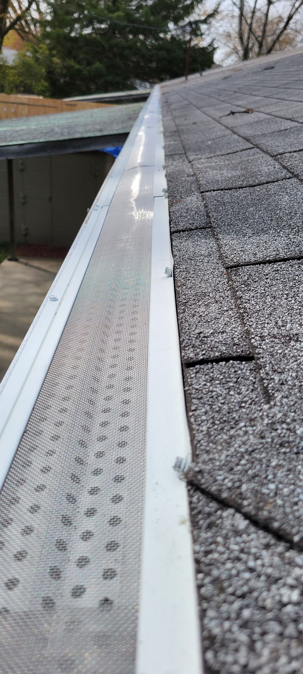 Close-up of a roof edge with white gutter and gray shingles, showing a leaf guard and debris.