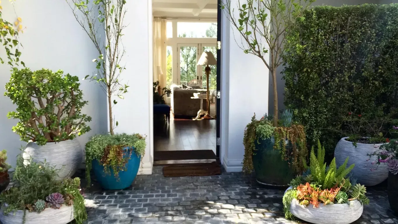 Entrance to a home with potted plants, brick pathway, and open doorway to interior.