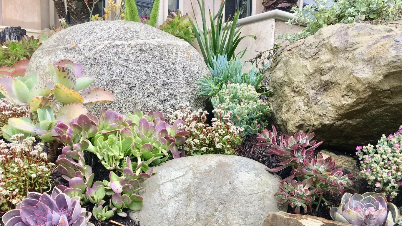 Two succulent planters on a balcony, with a city view. 