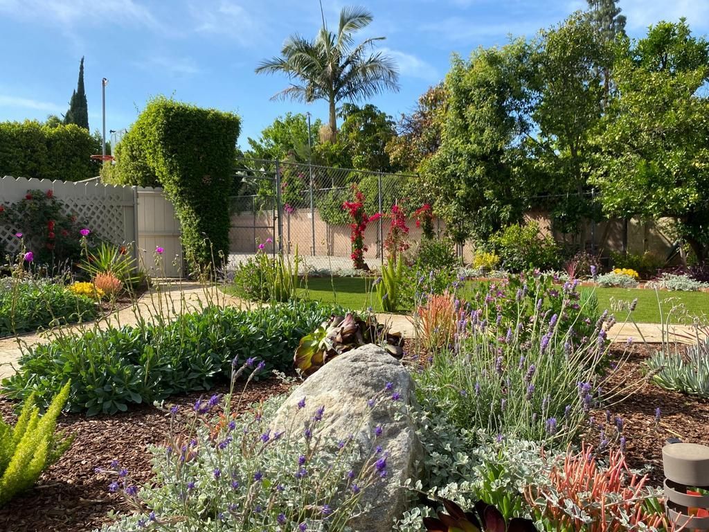 Lush garden with various plants, a large rock in the foreground, and a bright sunny sky.