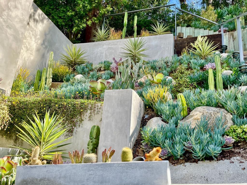 A garden bed with various plants.
