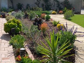 Living wall of colorful plants on a wooden fence.