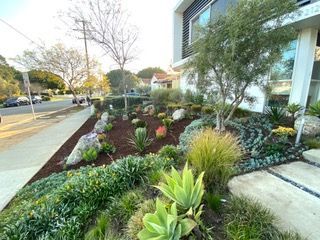 Landscaped front yard with various plants, rocks, and mulch in front of a modern house.