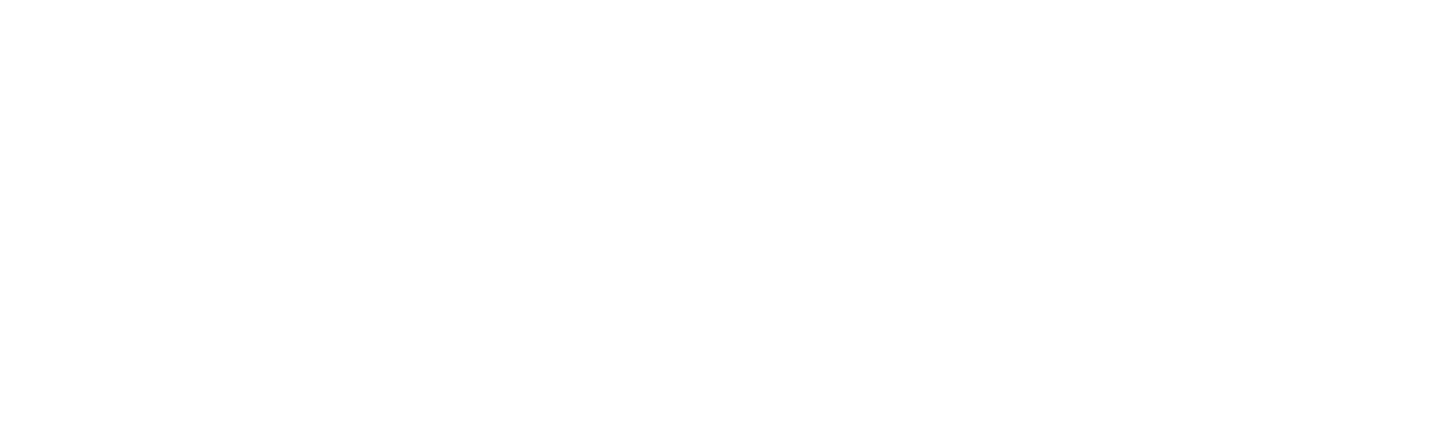 Five Star Freedom Vacation Home Services Logo