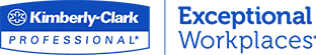 Kimberly-Clark/Wypall