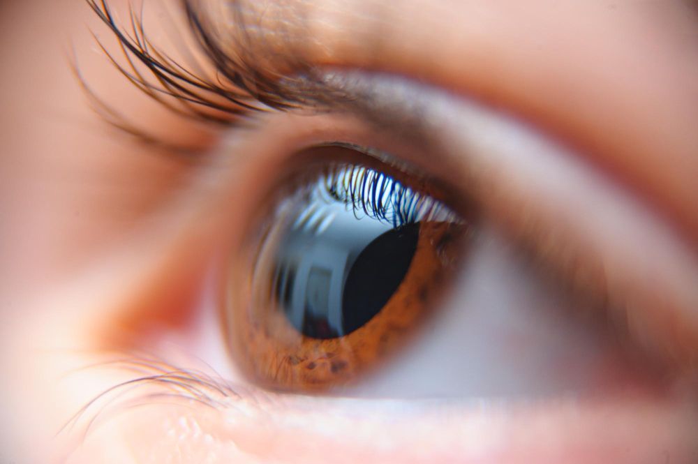 Close-up of a brown eye with reflections in the iris and eyelashes visible