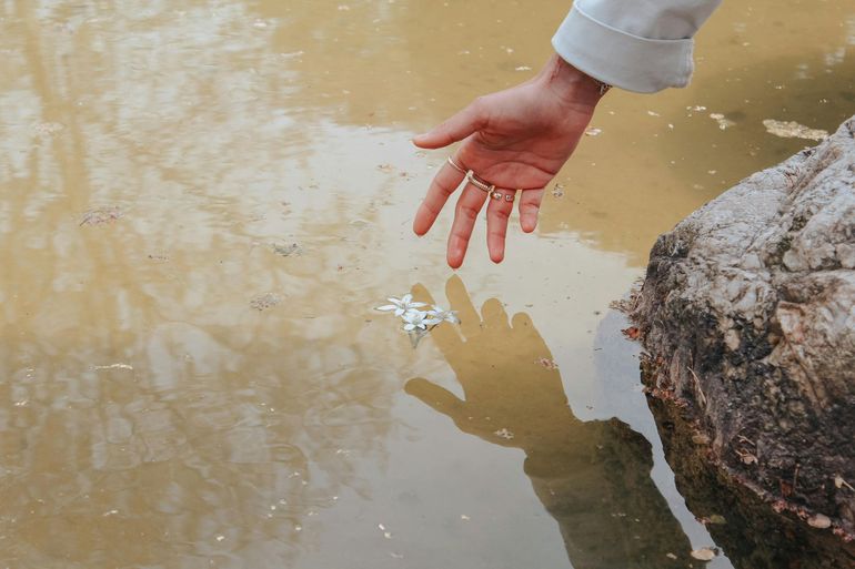 Hand reaching toward flowers in water beside a rock, with a faint hand reflection visible.