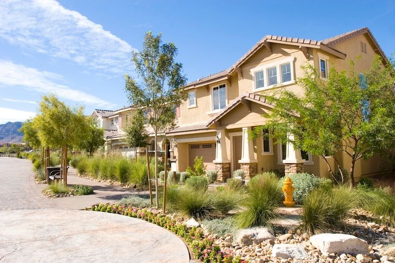 Las Vegas Tree Removal 