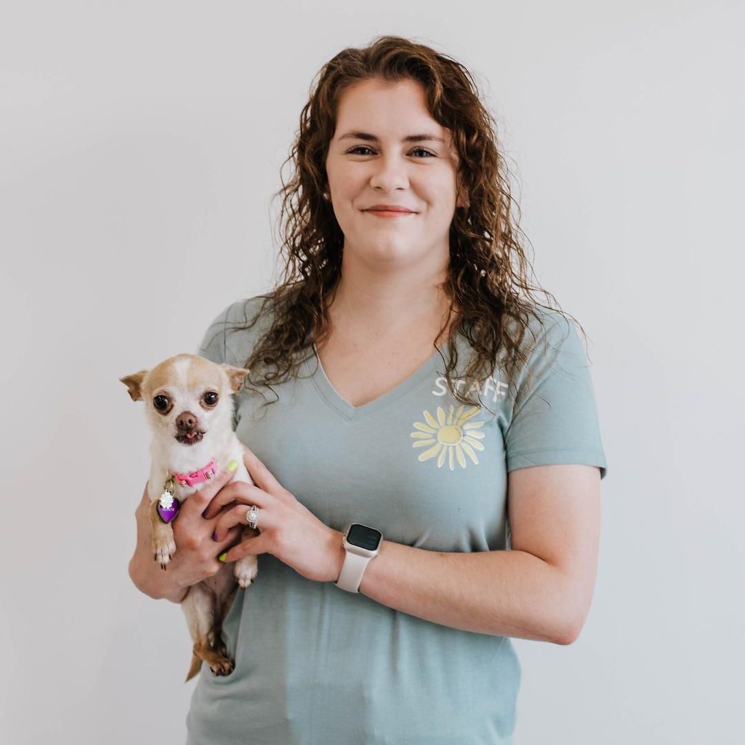 About Us Our Commitment to Veterinary Care Grant Vet Care