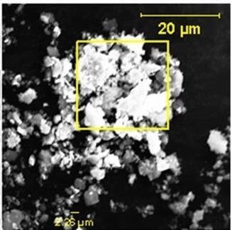 Close up image of a Particle