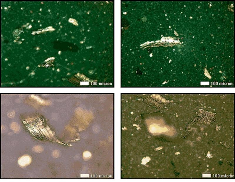 Close up images of particles identified from advanced microscopy