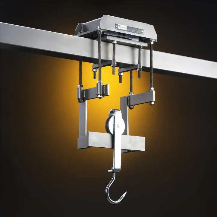Sistema di binari sopraelevati in acciaio inox con gancio per carne.