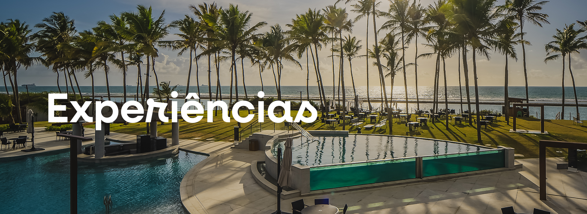 Um sofá circular está no meio de uma piscina cercada por palmeiras.