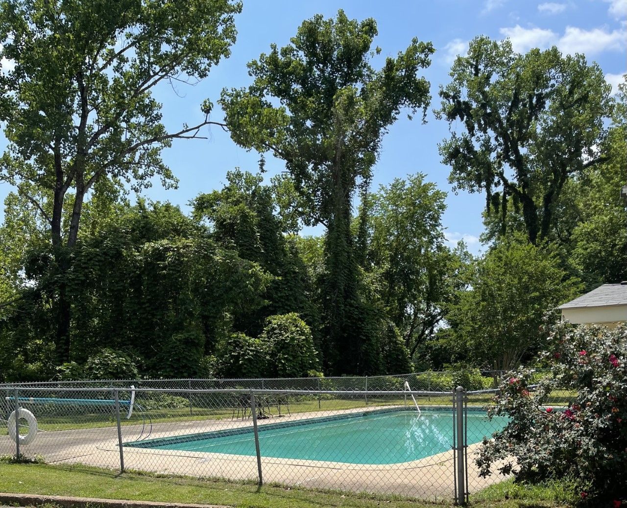 A large swimming pool surrounded by trees on a sunny day