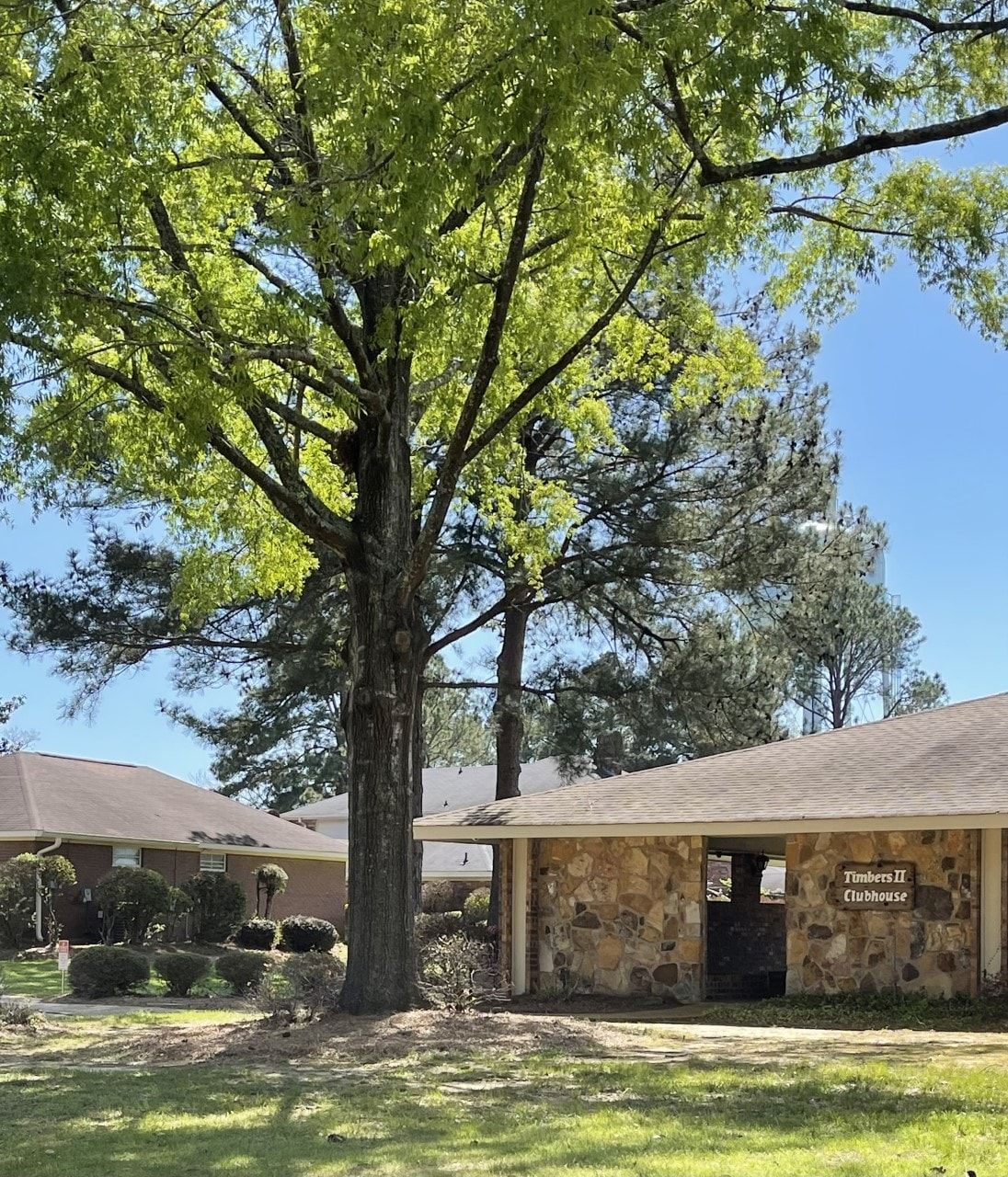 A house with a large tree in front of it