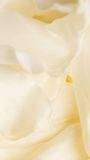 Cream-colored flower petals in close-up, softly lit with a pale yellow background