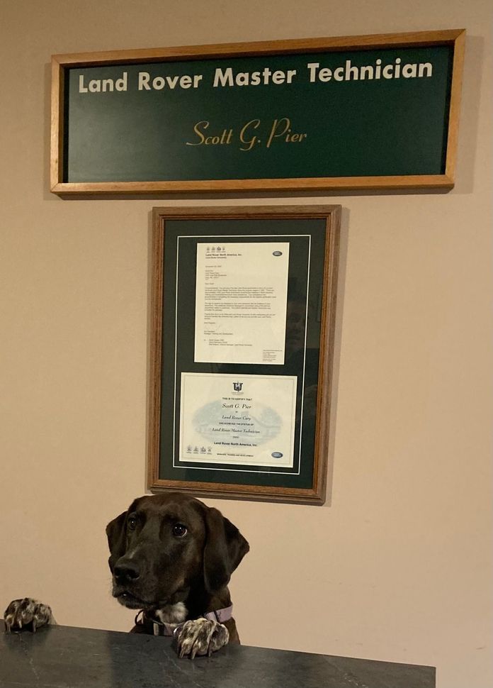 Black dog on a counter beneath a framed Land Rover Master Technician certificate on a wall. | Discovery Automotive