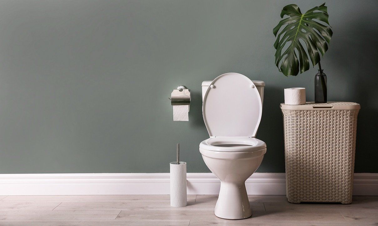A freshly remodelled toilet space with elegant paint work. Photo taken in a residential home in in Wollongong, NSW.
