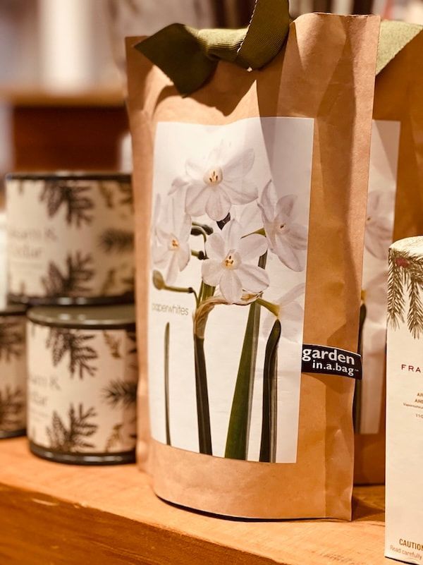 Potted orchid in a brown paper gift bag on a wooden table, with a candle blurred in the background