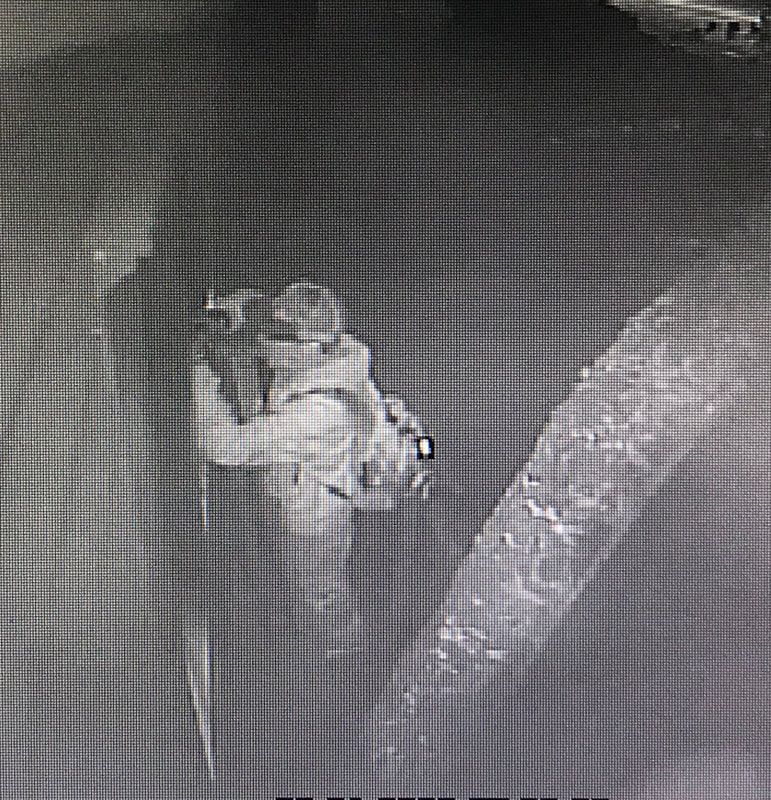 Person holding an infant on a dim surveillance-style black-and-white image.