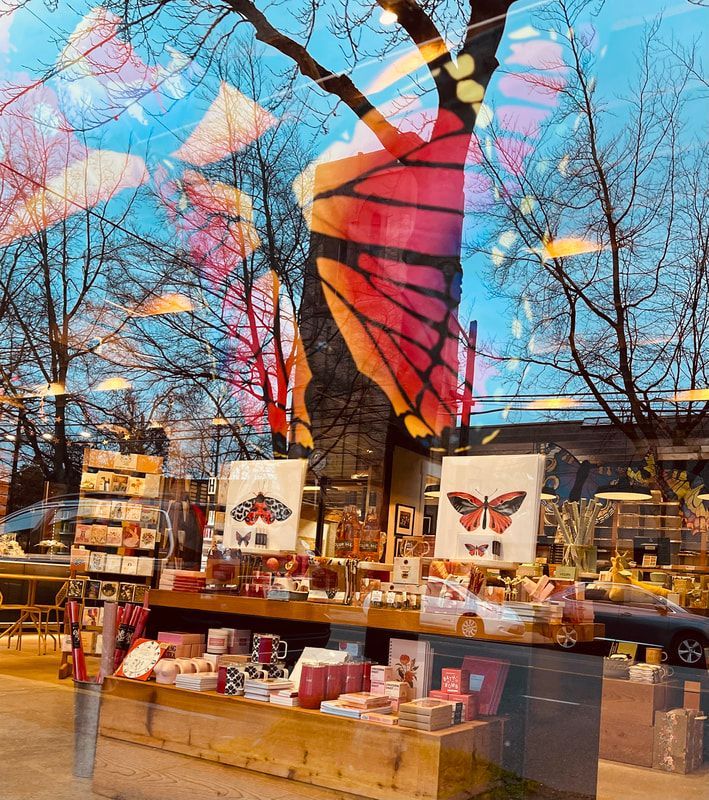 Butterfly-wing mural reflected in a shop window with colorful product displays inside