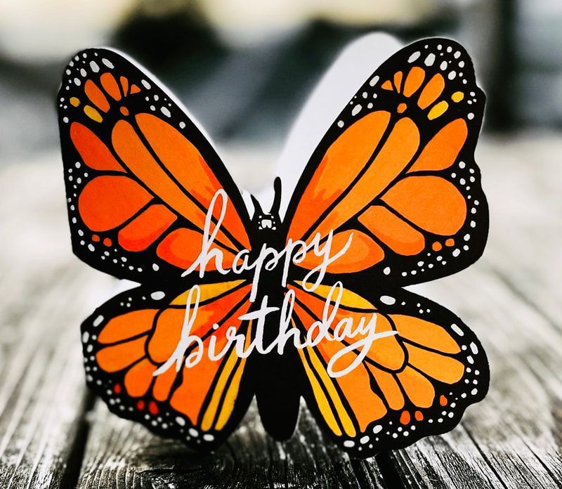Orange and black butterfly with 