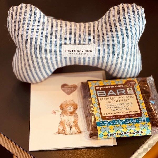 Blue-and-white striped bone-shaped dog toy with a treat bag and dog card on a gray surface