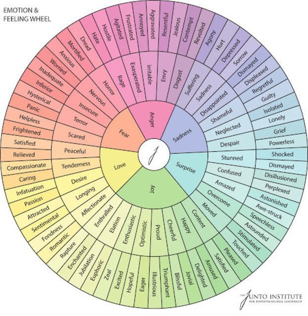 Colorful emotion and feeling wheel with labeled emotion segments arranged in a circle.
