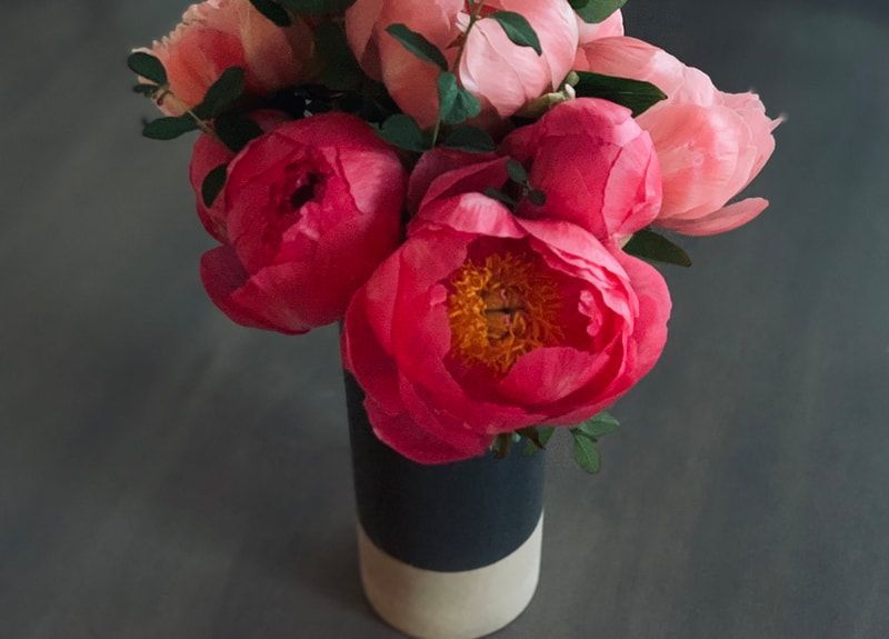 Pink peonies in a black and cream vase on a dark background
