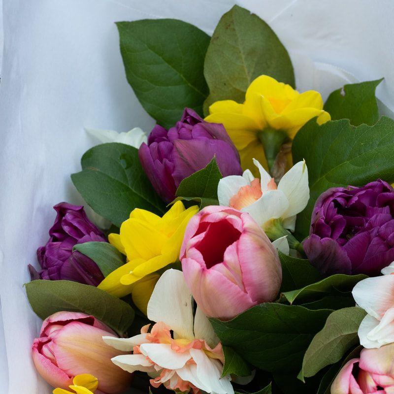 Bouquet of colorful tulips and mixed flowers with green leaves on a white background