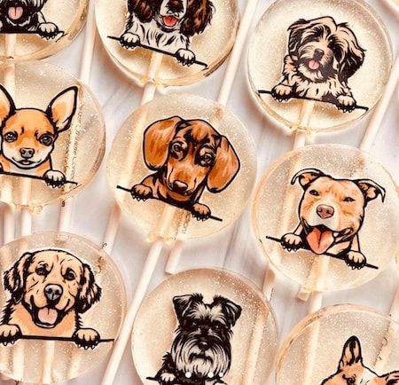 Dog-face lollipops with various breeds on a light background