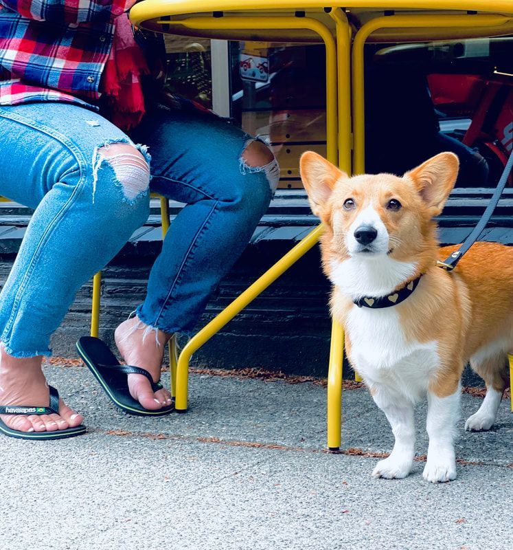 Corgi sitting beside a table outdoors next to two people in jeans and sandals