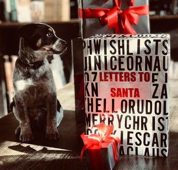 LETTERS TO SANTA GO HERE