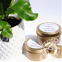 Potted green plant beside two cosmetic jars on a white background