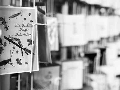 Black-and-white shelves with a hanging card showing a bird illustration and handwritten text.