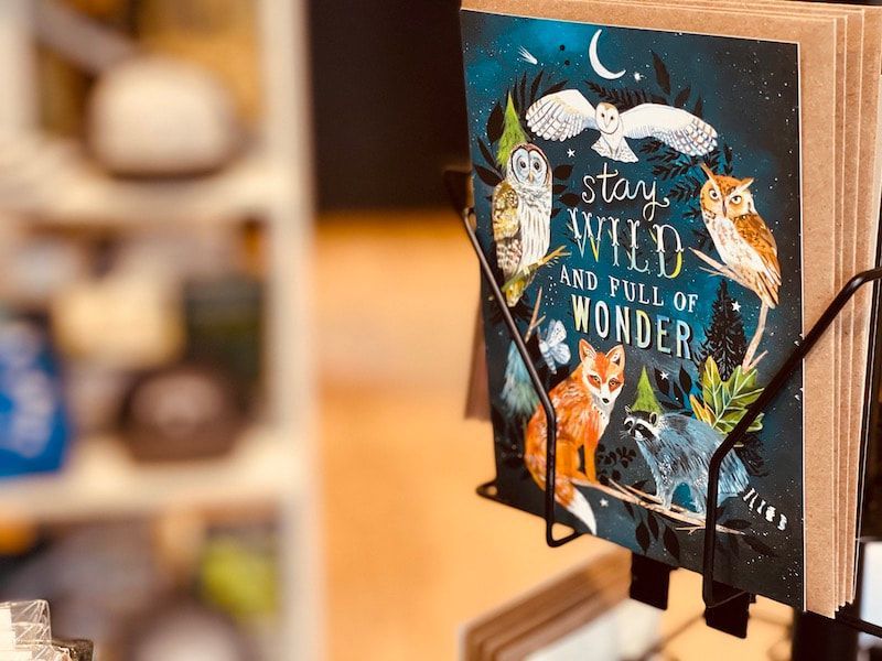 Book cover with foxes, stars, and moonlit forest reading “Stay Wild and Full of Wonder.”