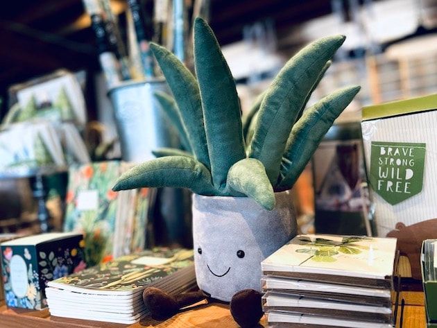 Plush green plant toy in a pot on a table, surrounded by stacks of books in a store display.