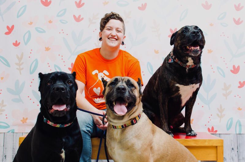 Three dogs and a smiling person in an orange shirt sitting indoors against a patterned wall