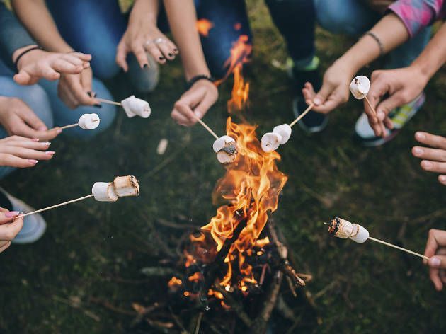 People roasting marshmallows over a campfire with sticks around it