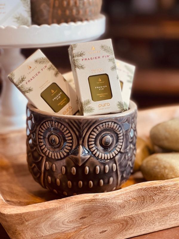 Two tea sachets in a carved owl-shaped cup on a wooden table