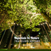 Nighttime aerial view of a lit tree canopy with “Nuptials In Nature” and “Traveling Notary” signage