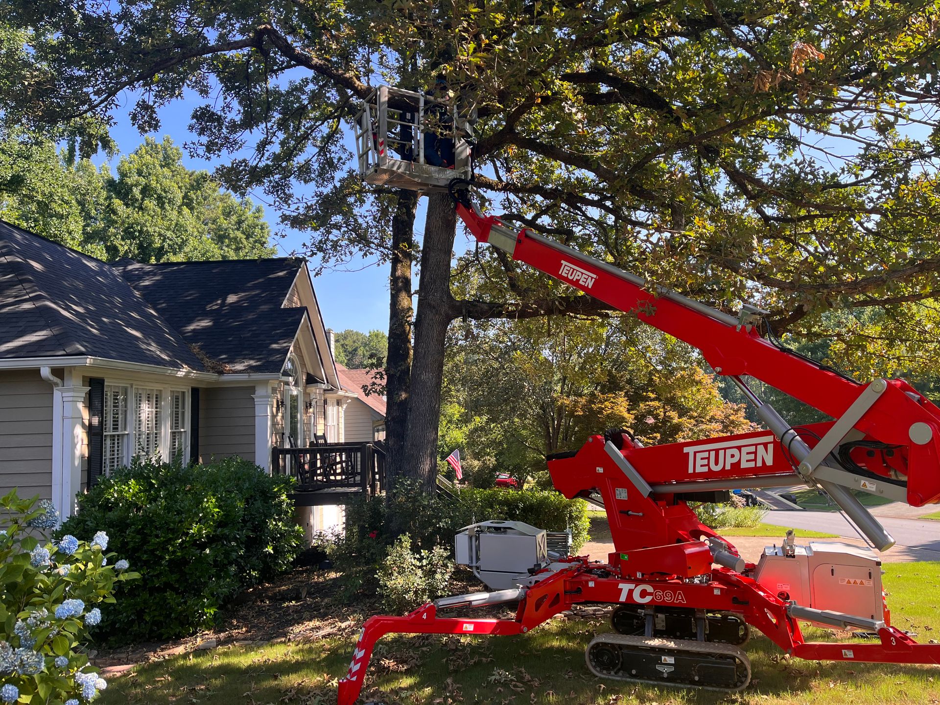 Fellow Tree Tree Trimming Services