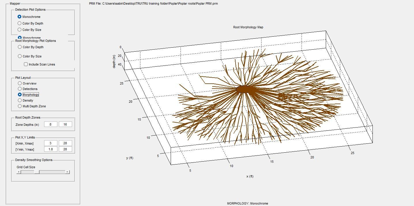 Root Scan Visual Result