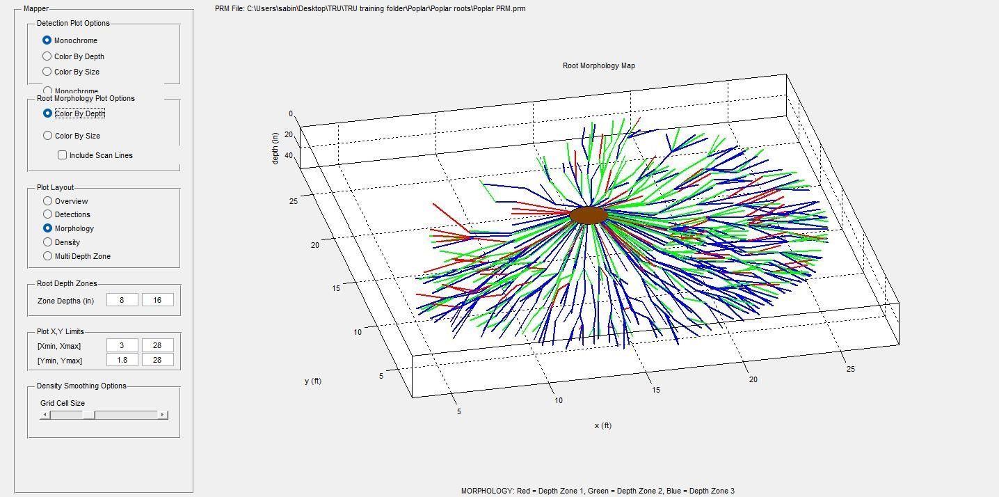 Root Scan Visual Result