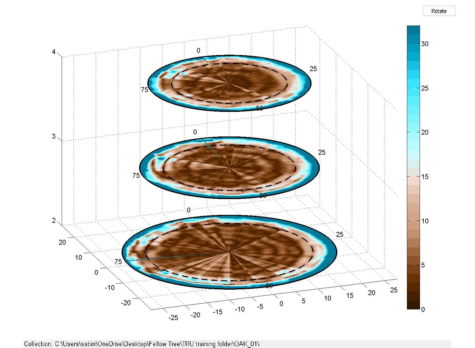 Three Layers of Trunk Scan